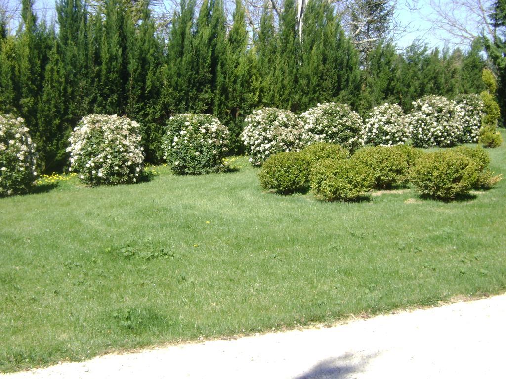 Bastide Des Lauves Villa Aix-en-Provence Exteriör bild
